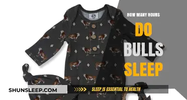 Unveiling the Rest Patterns: How Long Do Bulls Sleep Daily?