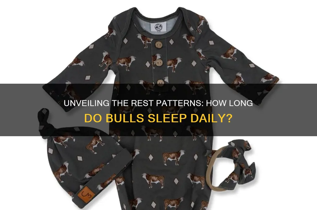 how many hours do bulls sleep