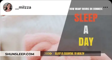 Understanding Bunny Sleep Patterns: Daily Rest Hours for Rabbits