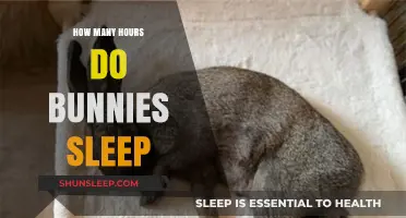 Understanding Bunny Sleep Patterns: A Comprehensive Guide