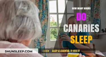 Understanding Canary Sleep Patterns: How Many Hours Do They Rest?