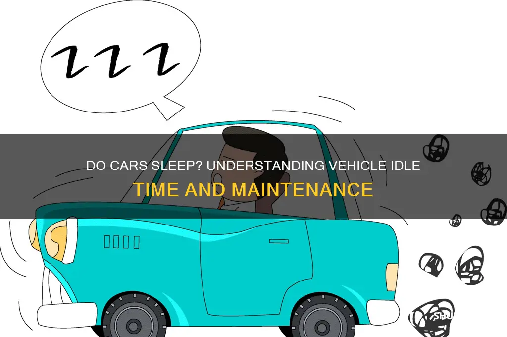 how many hours do cars sleep