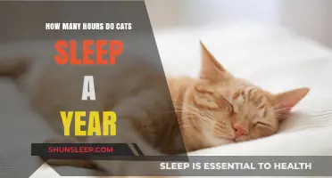 Unveiling the Annual Slumber: How Many Hours Do Cats Sleep?