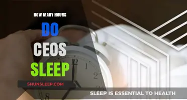 Unveiling CEO Sleep Patterns: Hours of Rest Behind the Success
