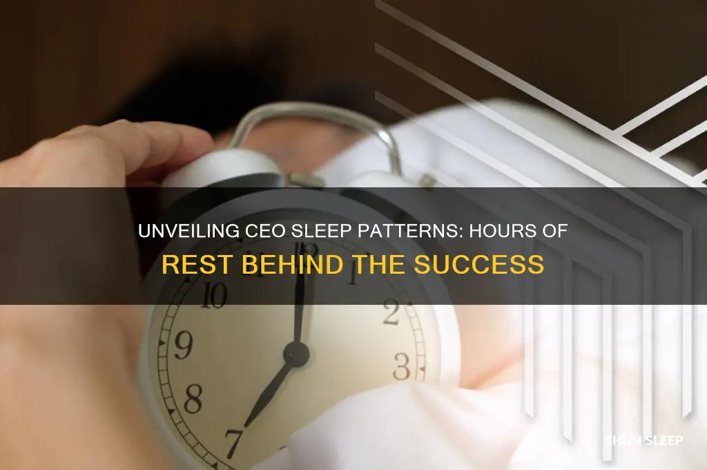 how many hours do ceos sleep