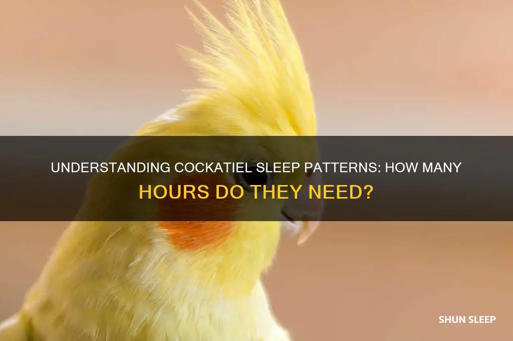 how many hours do cockatiels sleep
