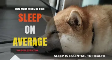 Understanding the Average Sleep Duration of Doge: A Comprehensive Guide