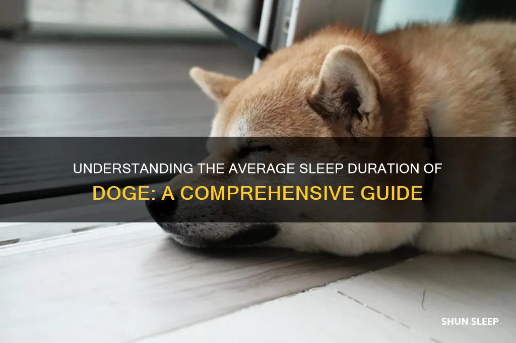 how many hours do doge sleep on average