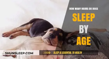 Understanding Dog Sleep Patterns: Age-Related Hours Explained