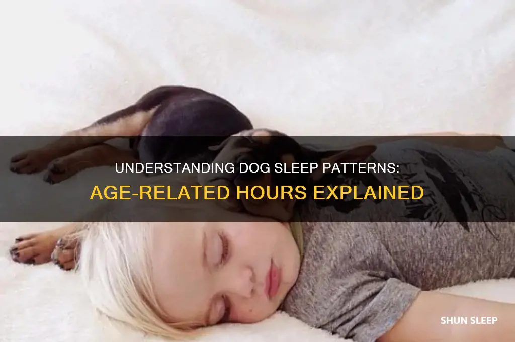 how many hours do dogs sleep by age