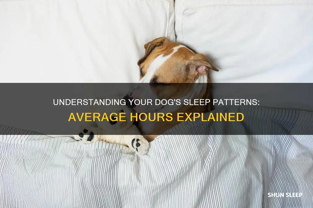 how many hours do dogs sleep on average