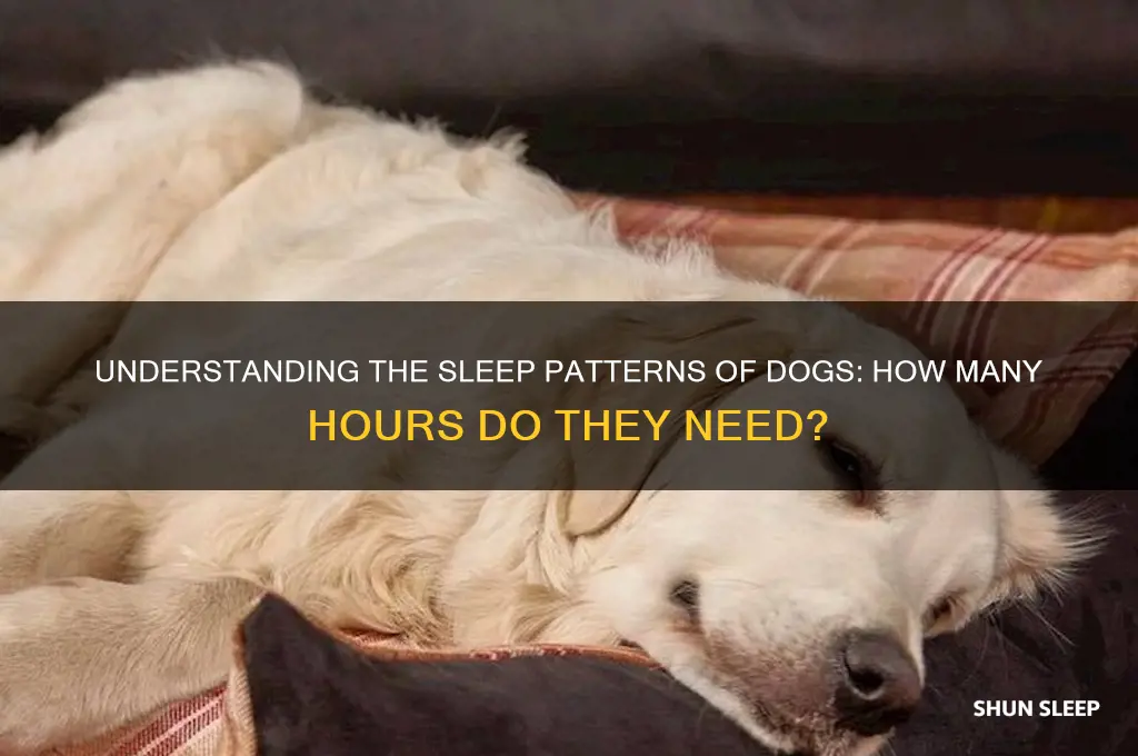 how many hours do dohs sleep