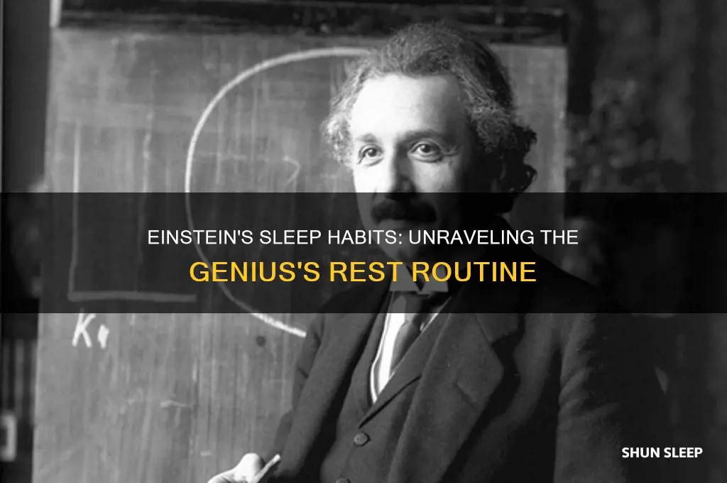 how many hours do einstein sleep