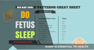 Understanding Fetal Sleep Patterns: How Many Hours Do They Rest?