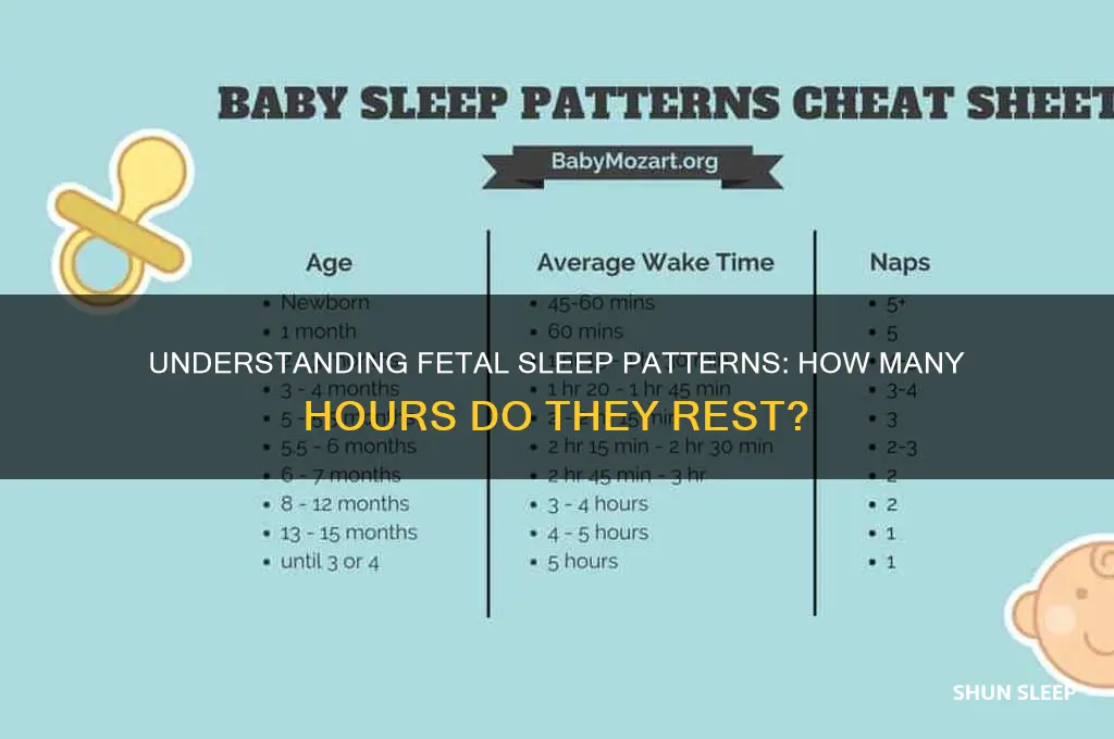 how many hours do fetus sleep