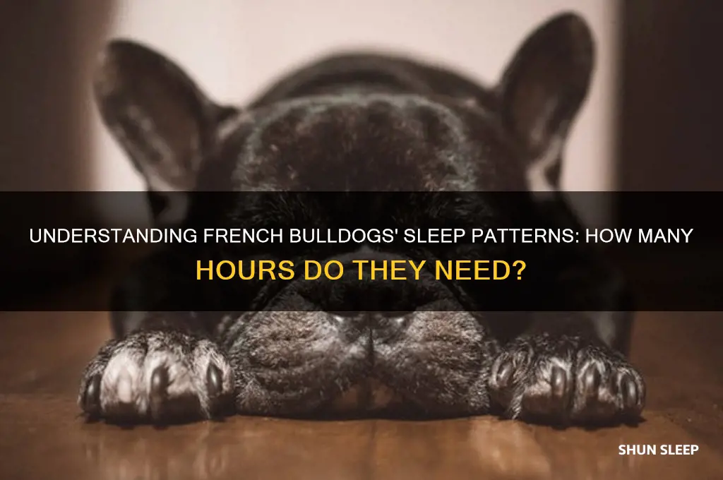 how many hours do frenchies sleep