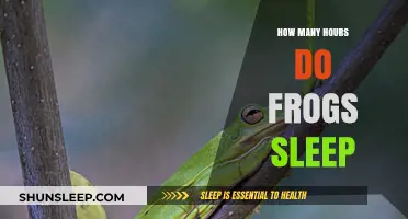 Unveiling the Sleep Patterns of Frogs: How Many Hours Do They Rest?