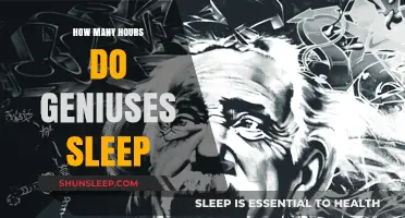 Unveiling Genius Sleep Habits: Hours, Patterns, and Productivity Secrets