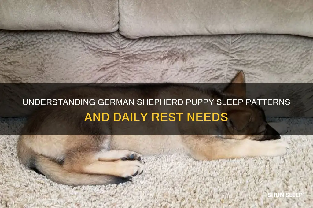 how many hours do german shepherd puppies sleep