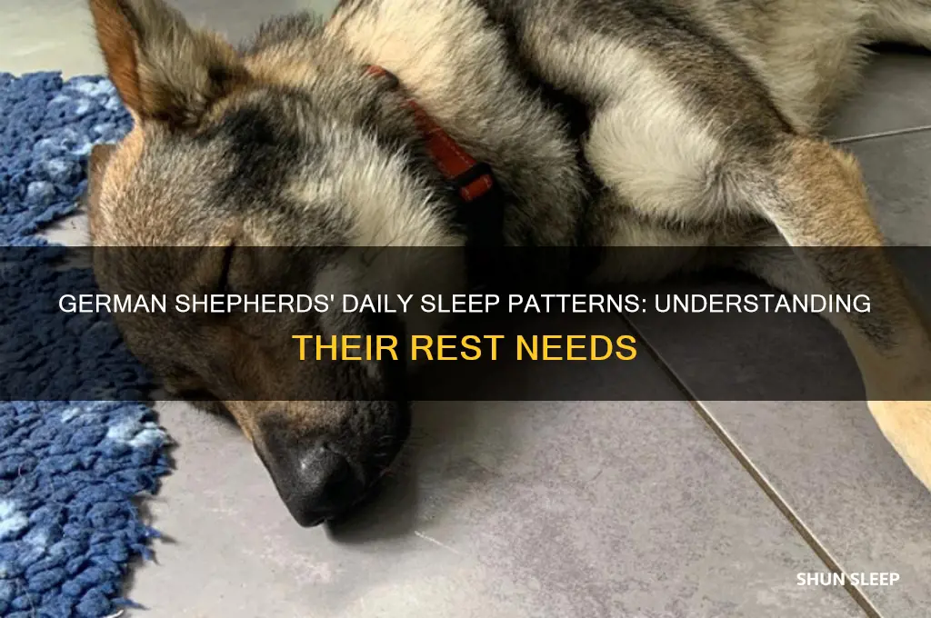 how many hours do german shepherds sleep a day
