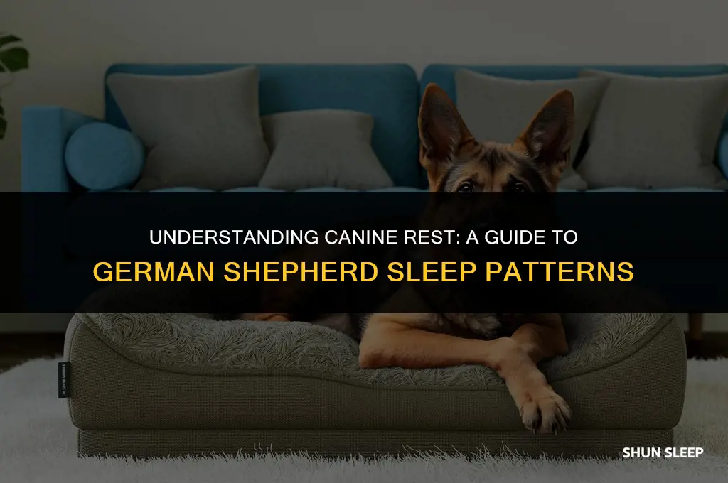 how many hours do german shepherds sleep