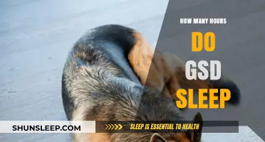 Understanding the Sleep Patterns of German Shepherd Dogs