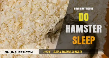 Understanding Hamster Sleep Patterns: A Comprehensive Guide