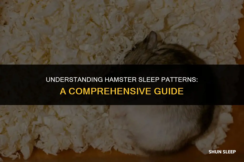 how many hours do hamster sleep