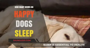 Understanding Canine Sleep Patterns: How Many Hours Do Happy Dogs Sleep?