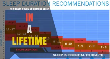 Unveiling the Mysteries of Human Sleep: A Lifetime Perspective
