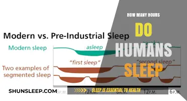 Unraveling the Mysteries of Human Sleep: A Journey Through Time and Culture