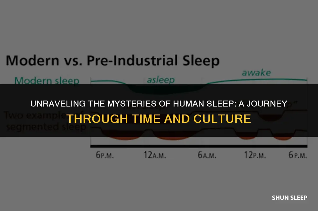 how many hours do humans sleep