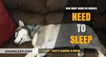 Understanding Husky Sleep Patterns: A Guide for Dog Owners