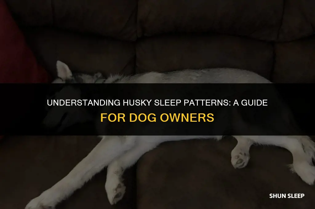 how many hours do huskies need to sleep