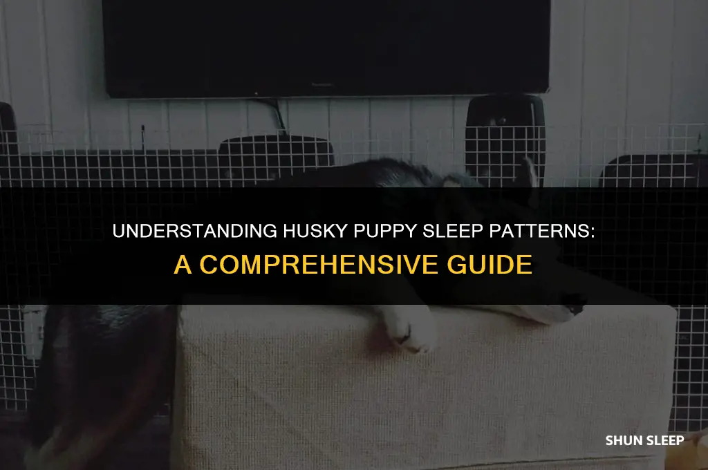 how many hours do husky puppies sleep