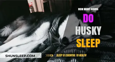 Understanding Husky Sleep Patterns: A Comprehensive Guide