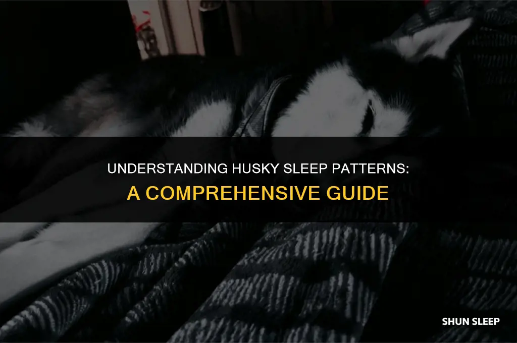 how many hours do husky sleep