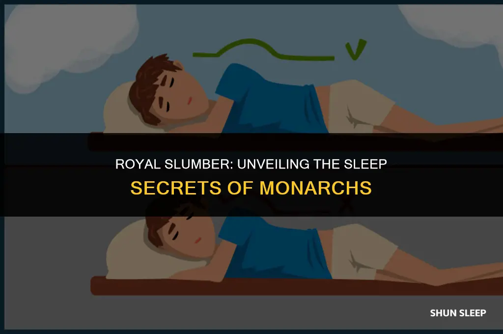 how many hours do kings sleep