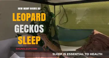 Unveiling the Sleep Secrets of Leopard Geckos: A Comprehensive Guide
