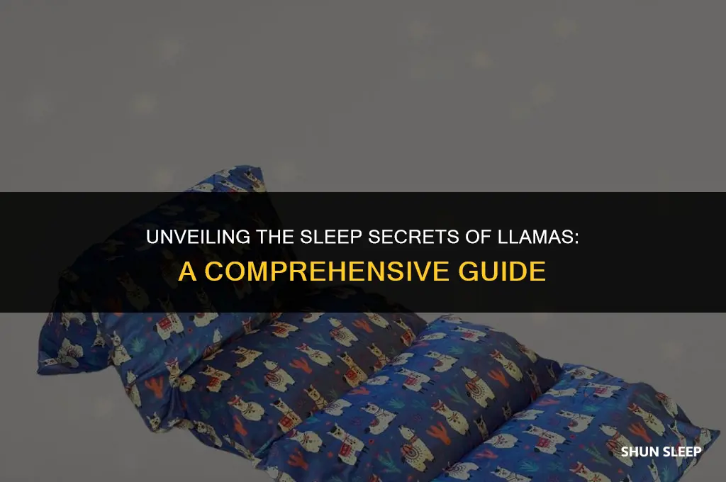 how many hours do llamas sleep