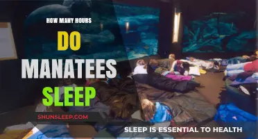 Manatee Snooze: Unraveling the Mystery of Their Sleep Patterns