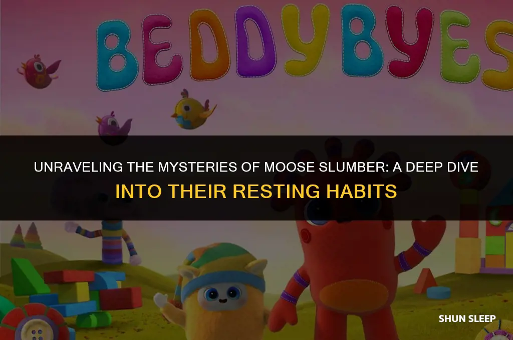 how many hours do moose sleep