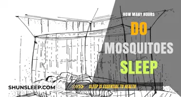Unveiling the Resting Habits of Mosquitoes: A Comprehensive Guide