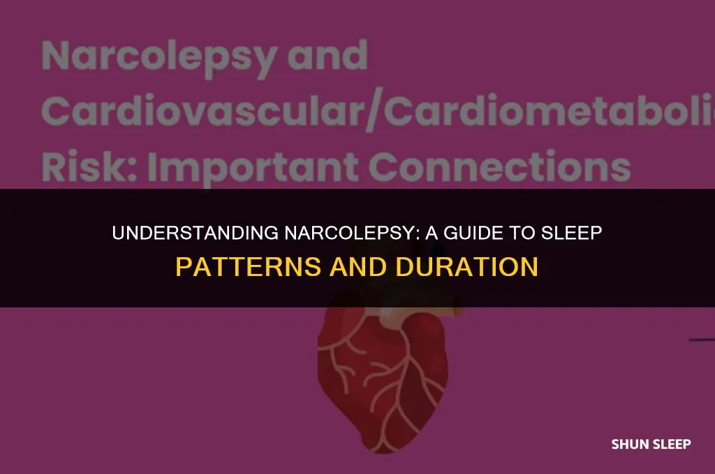 how many hours do narcoleptics sleep