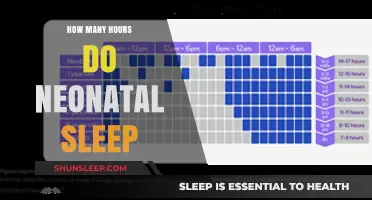 Understanding Neonatal Sleep Patterns: A Guide for New Parents