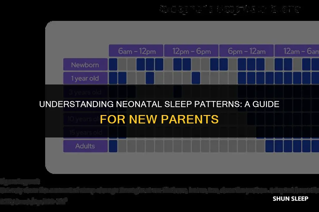 how many hours do neonatal sleep