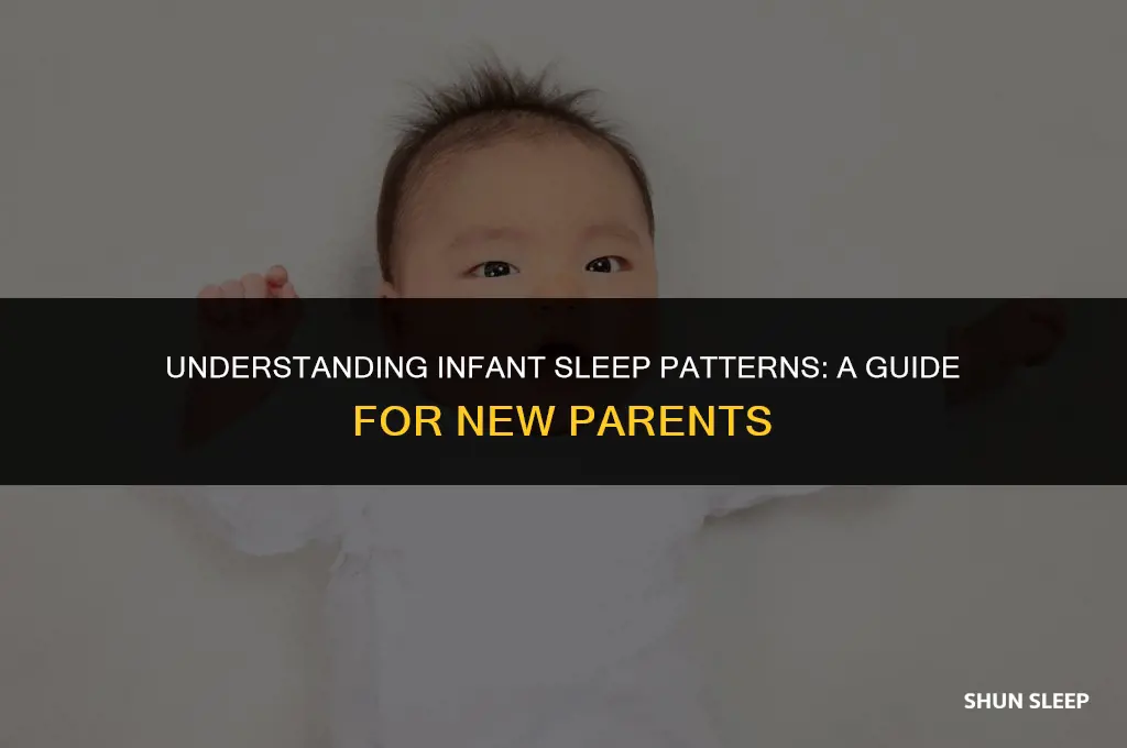 how many hours does 2 month old sleep