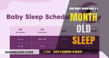 Understanding Newborn Sleep Patterns: A Guide for Parents