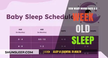 Understanding Newborn Sleep Patterns: A Guide for Parents