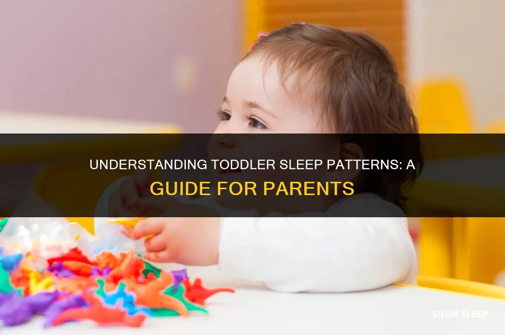 how many hours does a 2 year old sleep